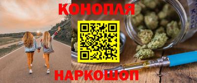 прущие крисы Кингисепп
