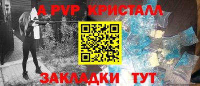 прущие крисы Кингисепп
