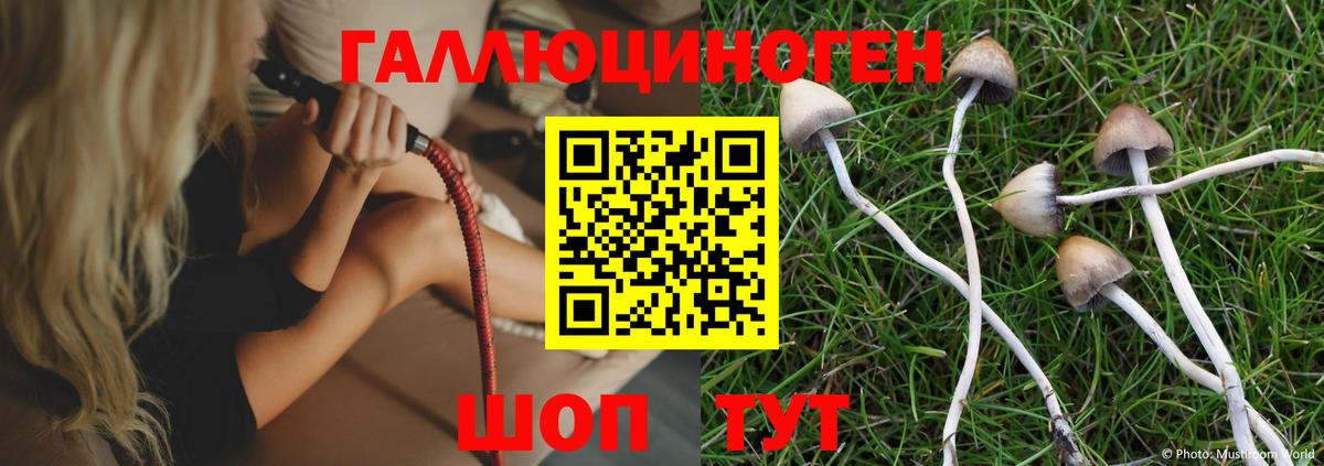 Псилоцибиновые грибы мухоморы  Псилоцибиновые грибы MAGIC MUSHROOMS  Красноярск  Вход с VPN 
