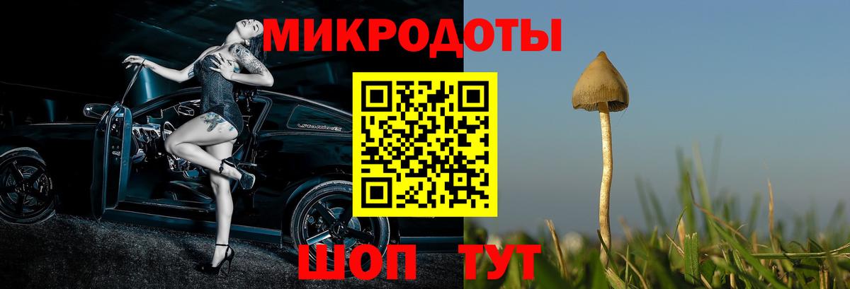 Псилоцибиновые грибы мицелий Красноярск